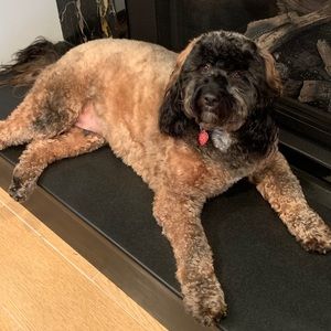 Meet your Posher, Sandra